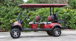 ICON i60L Burgundy With 2 Tone Seats - Lifted - MSRP $13,295 - OUR PRICE $12,499 - Call for Inventory