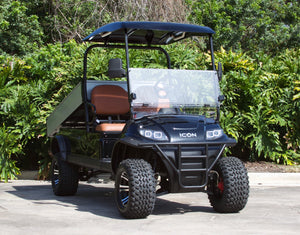 ICON i20UL Black Utility Golf Cart - Lifted - MSRP $13,295 - Our Price $12,995 - Call for Inventory